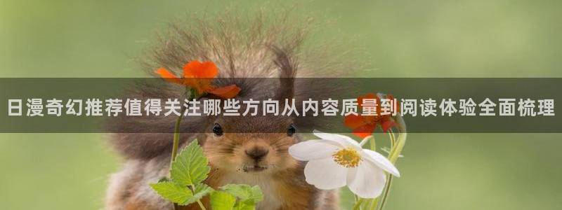 樱花日语初级语法：日漫奇幻推荐值得关注哪些方向从内容质量到阅读体验全面梳理