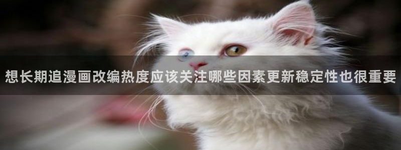 樱花日语进阶：想长期追漫画改编热度应该关注哪些因素更新稳定性也很重要