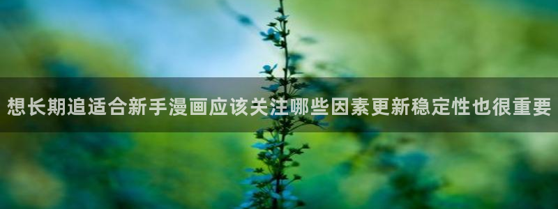 樱花日语词典：想长期追适合新手漫画应该关注哪些因素更新稳定性也很重要