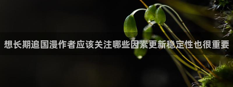 樱花日语常用词汇:想长期追国漫作者应该关注哪些因素更新稳定性也很重要