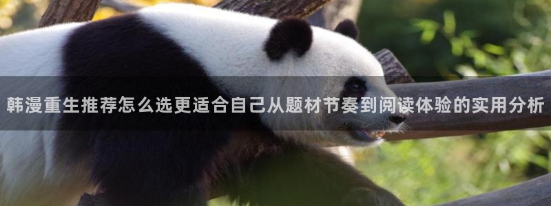樱花日语短语:韩漫重生推荐怎么选更适合自己从题材节奏到阅读体验的实用分析