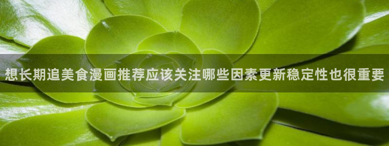 樱花日语学习教材：想长期追美食漫画推荐应该关注哪些因素更新稳定性也很重要
