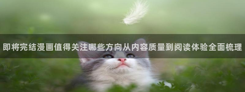 樱花日语资料:即将完结漫画值得关注哪些方向从内容质量到阅读体验全面梳理